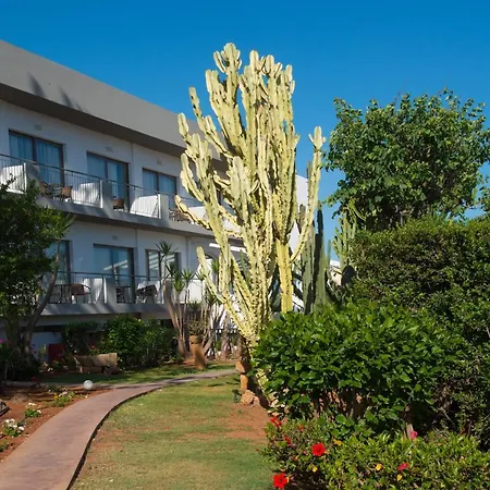 Hotel Oasis - Adults Only Anissaras